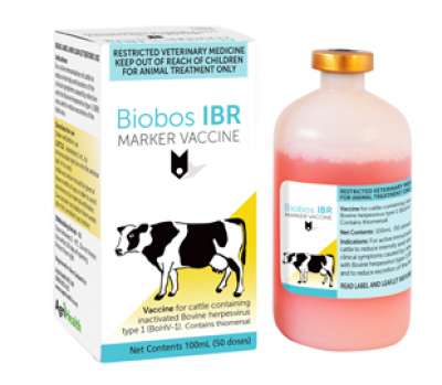 BioBos IBR Marker Vaccine