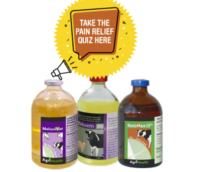 Take the Pain Relief Quiz 2020 here!