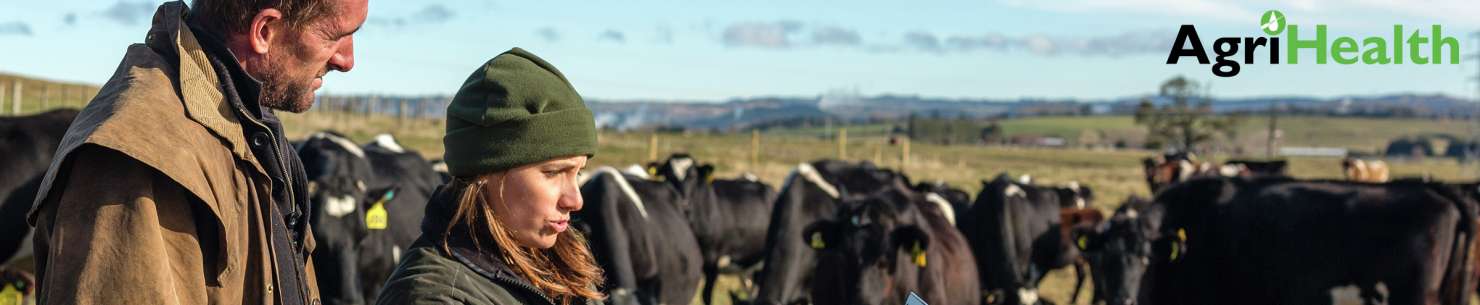 NZ heifer synchrony study - proven benefits to the farmer and the vet clinic