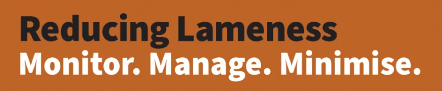 Reducing Lameness Webinar Summary