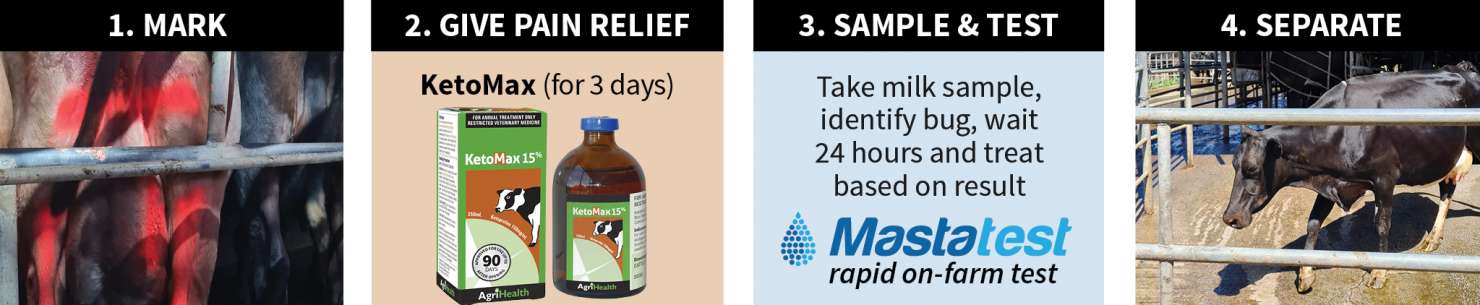 A new approach to managing cows with clinical mastitis