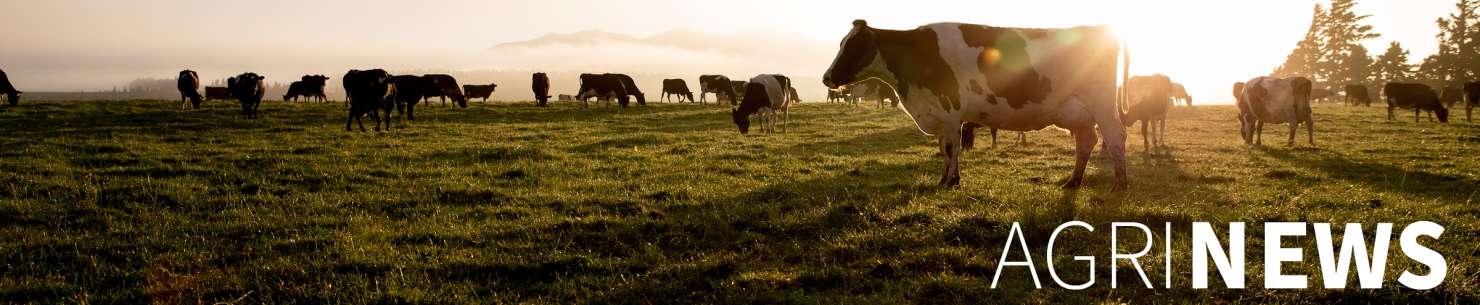 Reducing Staph. aureus infections to produce more milk of higher quality